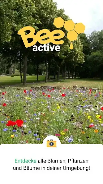 Play beeactive -Bienen, Blumen & Du  and enjoy beeactive -Bienen, Blumen & Du with UptoPlay