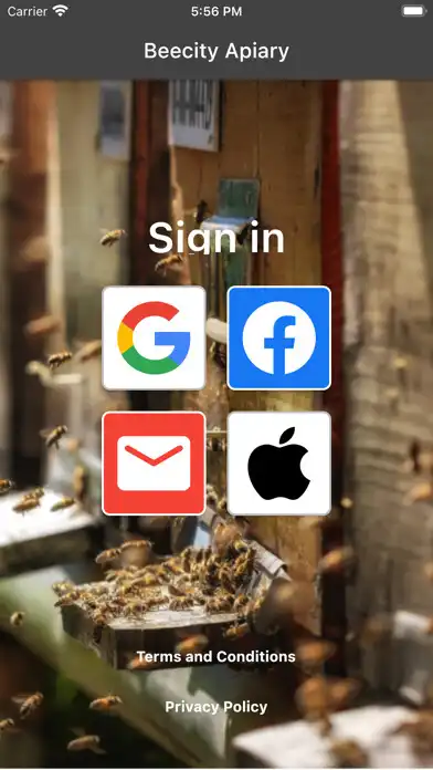 Play Beecity Apiary  and enjoy Beecity Apiary with UptoPlay