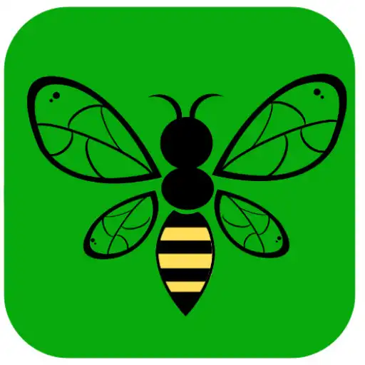 Play Bee fast- udp/ovpn APK