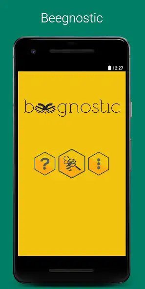 Play Beegnostic - diagnose bees  and enjoy Beegnostic - diagnose bees with UptoPlay