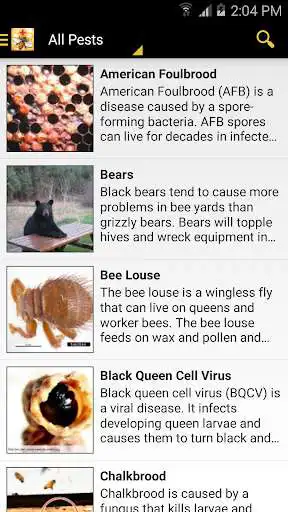 Play BeeHealth  and enjoy BeeHealth with UptoPlay