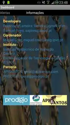 Play Beehive Tracking