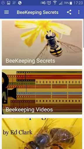 Play BeeKeeping Demystified