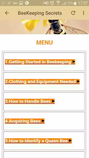 Play BeeKeeping Demystified