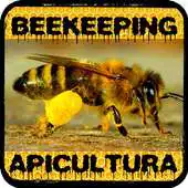 Free play online Beekeeping, the world of the avejos APK