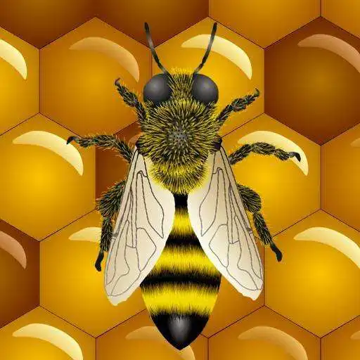 Free play online Bee Live Wallpaper APK Free play online Bee Live Wallpaper APK