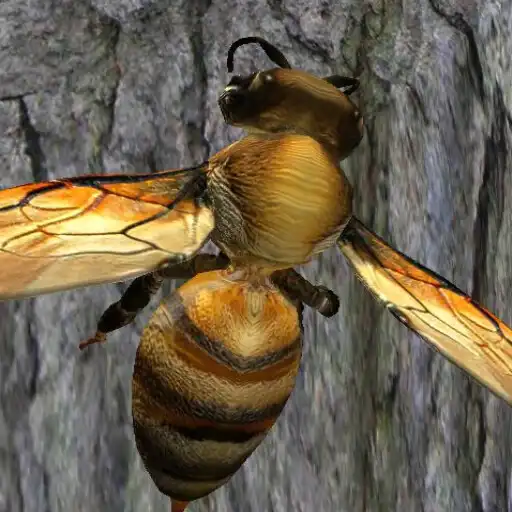 Play Bee Nest Simulator 3D - Insect and 3d animal game APK Play Bee Nest Simulator 3D - Insect and 3d animal game APK
