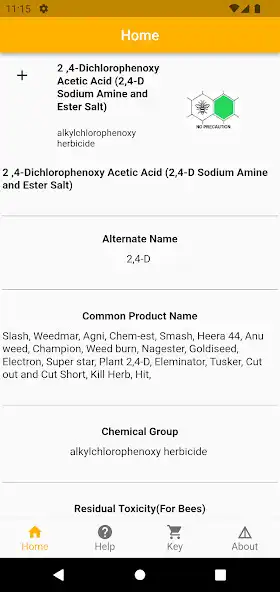 Play Bee Responsible India as an online game Bee Responsible India with UptoPlay