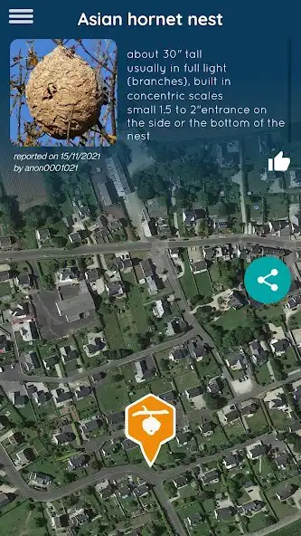 Play Beescouts as an online game Beescouts with UptoPlay