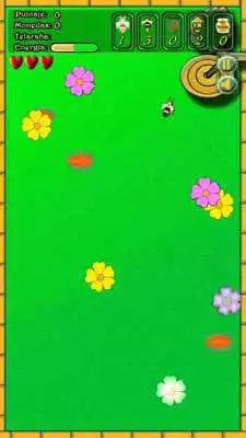 Play Bees life adventure