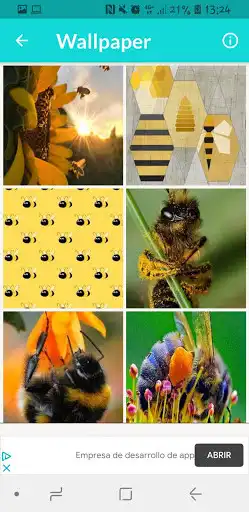 Play Bees Wallpapers as an online game online Bees Wallpapers with UptoPlay Play Bees Wallpapers as an online game Bees Wallpapers with UptoPlay