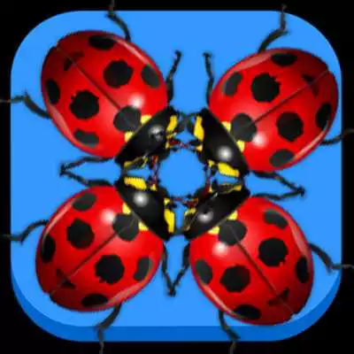 Play Beetle Fighter