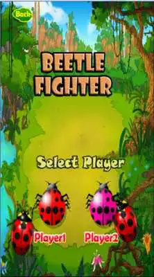 Play Beetle Fighter