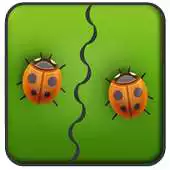 Free play online Beetle - Free APK