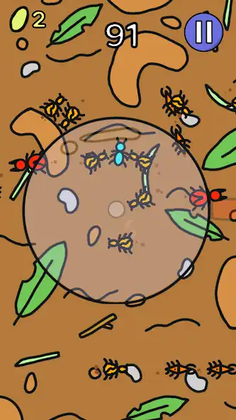 Play Beetle Frenzy  and enjoy Beetle Frenzy with UptoPlay