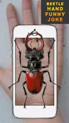 Play Beetle Hand Funny Joke