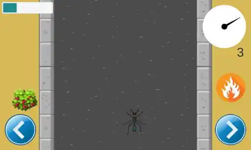 Play Beetle Race