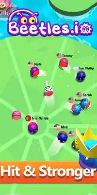 Play Beetles.io