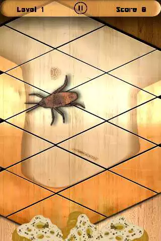 Play Beetle Transformer Game as an online game Beetle Transformer Game with UptoPlay