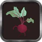 Free play online Beet Live Wallpaper APK