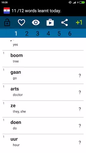 Play Beginner Dutch