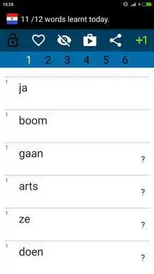 Play Beginner Dutch