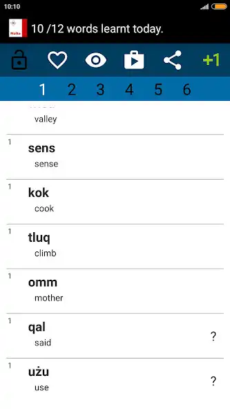 Play Beginner Maltese  and enjoy Beginner Maltese with UptoPlay