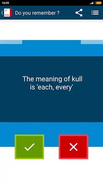 Play Beginner Maltese as an online game Beginner Maltese with UptoPlay