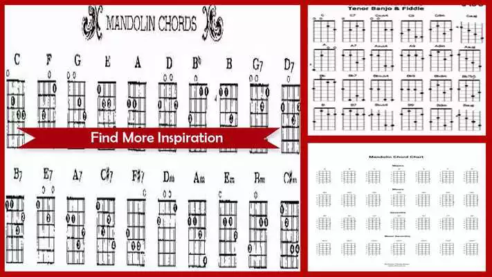 Play Beginner Mandolin Chords