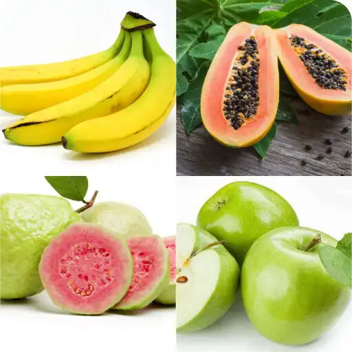 Free play online Belajar Buah-buahan APK Free play online Belajar Buah-buahan APK