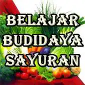 Free play online Belajar Budidaya Sayuran APK