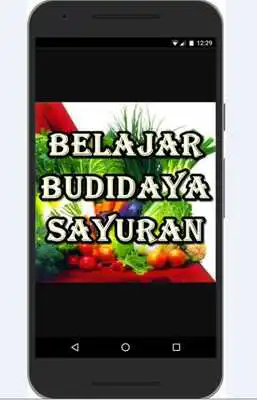 Play Belajar Budidaya Sayuran Play Belajar Budidaya Sayuran