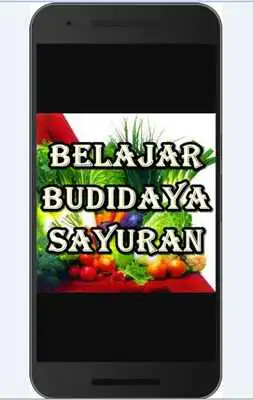 Play Belajar Budidaya Sayuran Play Belajar Budidaya Sayuran