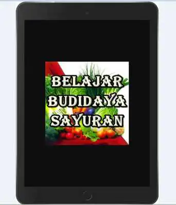Play Belajar Budidaya Sayuran Play Belajar Budidaya Sayuran