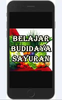 Play Belajar Budidaya Sayuran Play Belajar Budidaya Sayuran