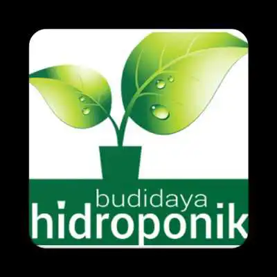 Play Belajar Hidroponik