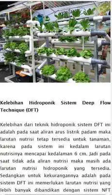 Play Belajar Hidroponik