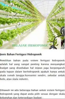 Play Belajar Hidroponik