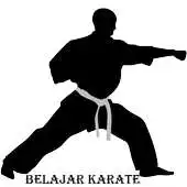 Free play online Belajar Karate APK