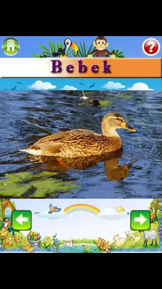 Play Belajar Mengenal Nama dan Suara Hewan as an online game Belajar Mengenal Nama dan Suara Hewan with UptoPlay
