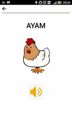 Play Belajar Suara Hewan