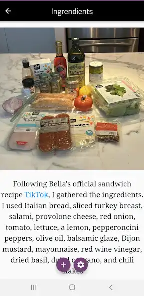 Play bella hadid sandwich recipe as an online game bella hadid sandwich recipe with UptoPlay