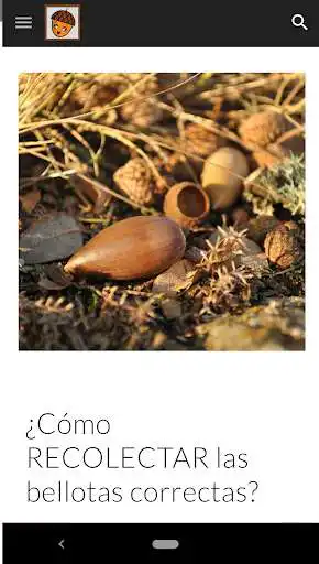 Play BellotiAPP as an online game BellotiAPP with UptoPlay