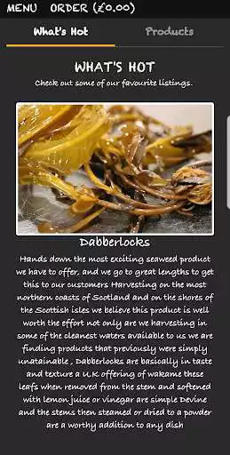 Play Bello Wild Food and enjoy Bello Wild Food with UptoPlay Play Bello Wild Food and enjoy Bello Wild Food with UptoPlay