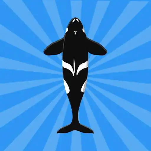 Play Beluga whale - Orca hunting APK