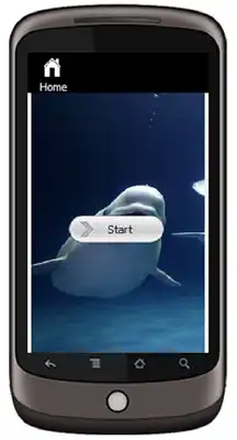Play Beluga Whale Play Beluga Whale