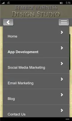 Play Bembry Business Design Studio