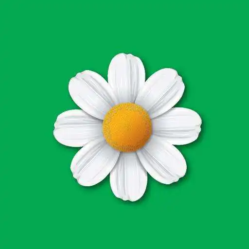 Play Bemol APK Play Bemol APK
