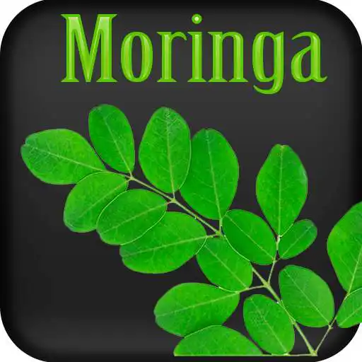Run free android online Beneficios de la Moringa APK Run free android online Beneficios de la Moringa APK