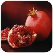 Free play online Benefit of ANAR (DADAM) APK